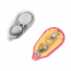 Маячок (ASS) N1 красный